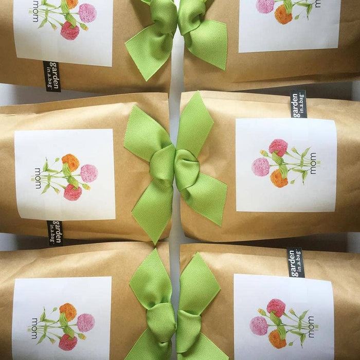 Potting Shed Creations Garden in a Bag | Mom