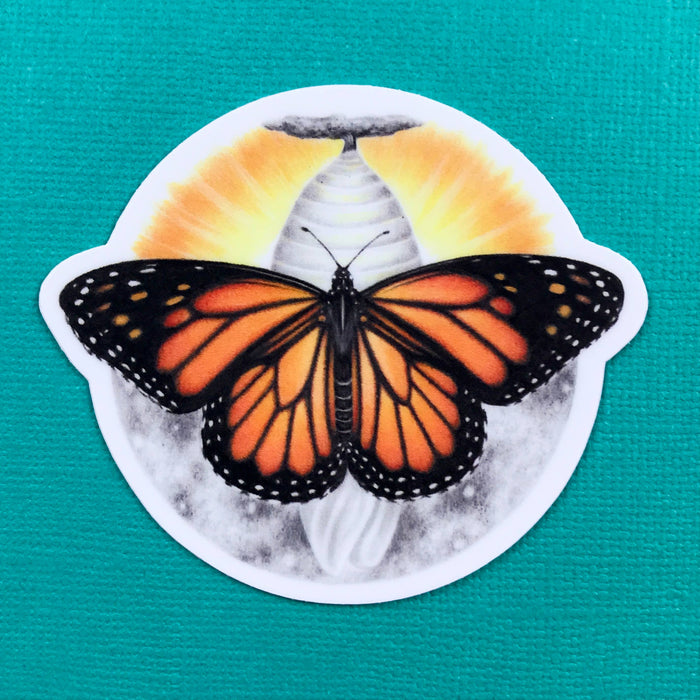 Abundance Illustration - Monarch butterfly and chrysalis sticker