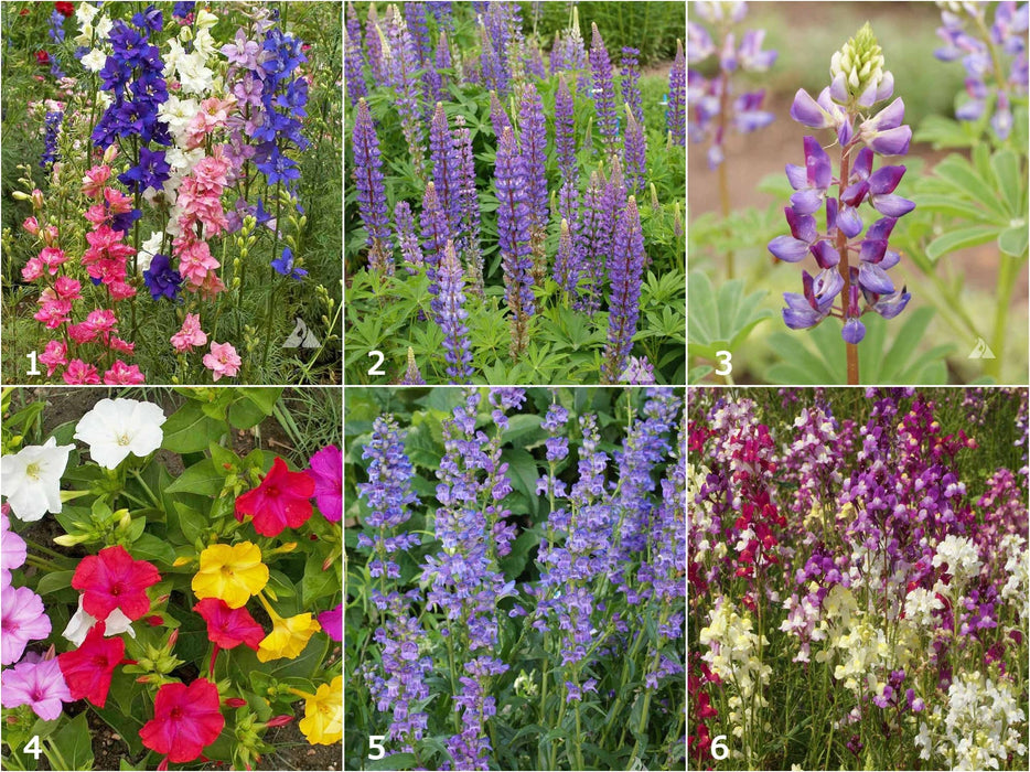 Potting Shed Creations, Ltd. Scatter Garden | Hummingbird