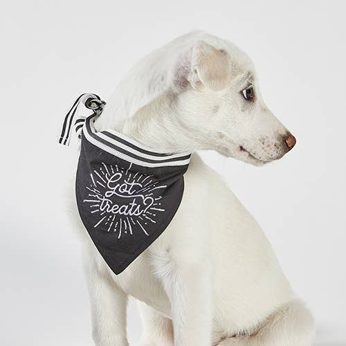 Santa Barbara Design Studio by Creative Brands Pet Bandana - Got Treats?