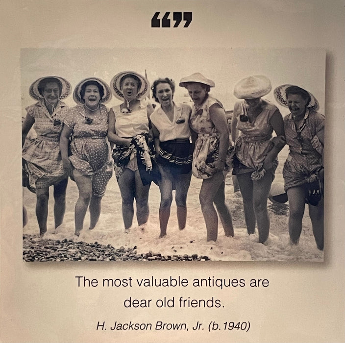 Borealis Press Magnet Valuable Friends