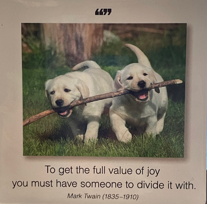 Borealis Press Magnet ...full value of joy