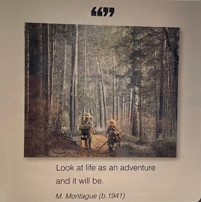 Borealis Press Magnet Life Adventure
