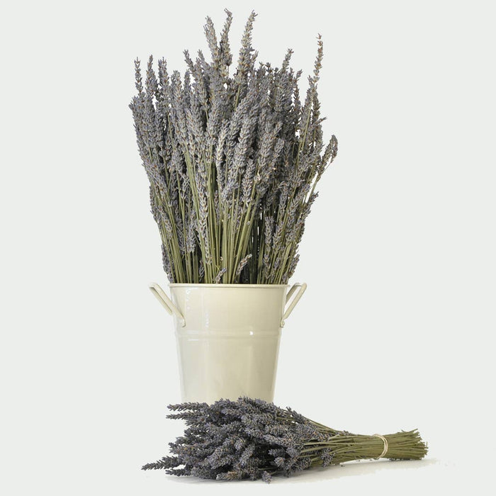 Victoria's Lavender, LLC - Dried Lavender Bouquets - French