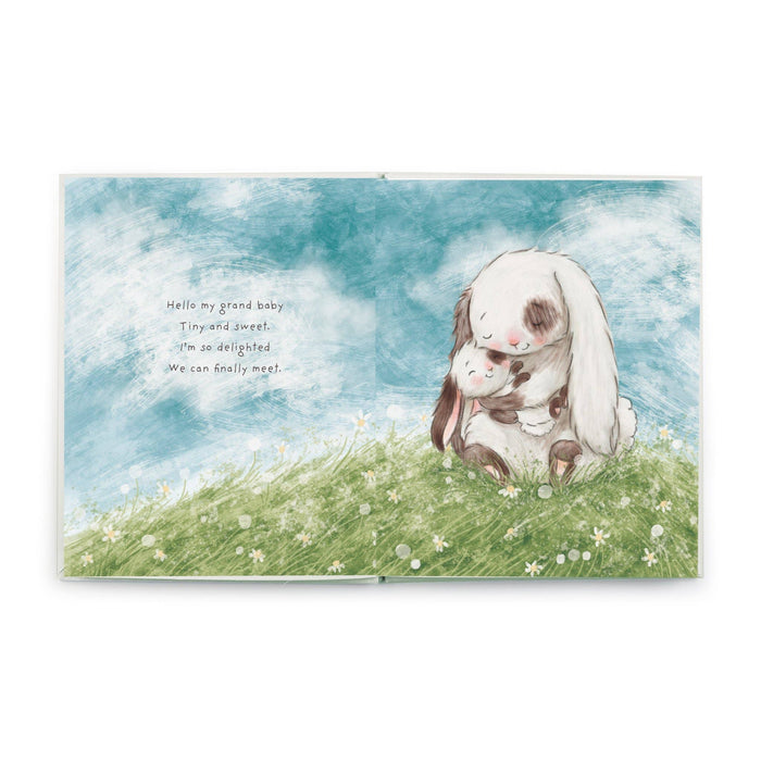 Bunnies By the Bay - What Will My Grandchild Call Me? Story book
