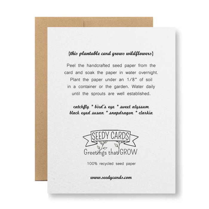 Seedy Cards - Plantable Seed Paper Greeting Card - Happy Anniversary