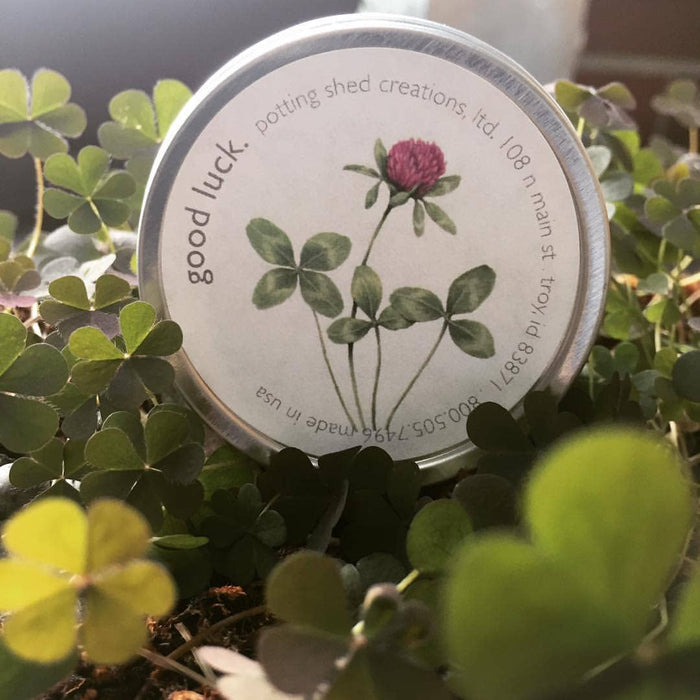Potting Shed Creations, Ltd. - Garden Sprinkles | Good Luck Clover | St Patrick's Day