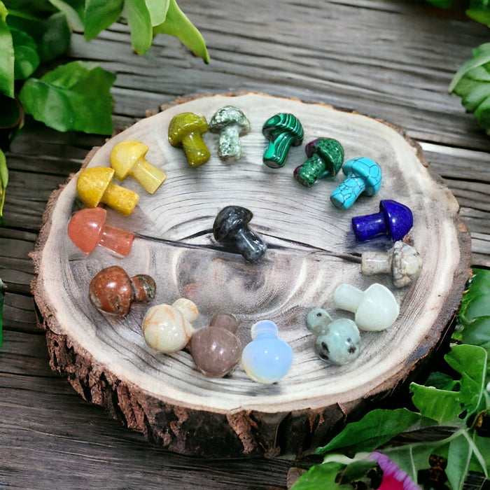 Wax Apothecary - 🍄 Crystal Mini Mushroom Stone Assortment 🍄