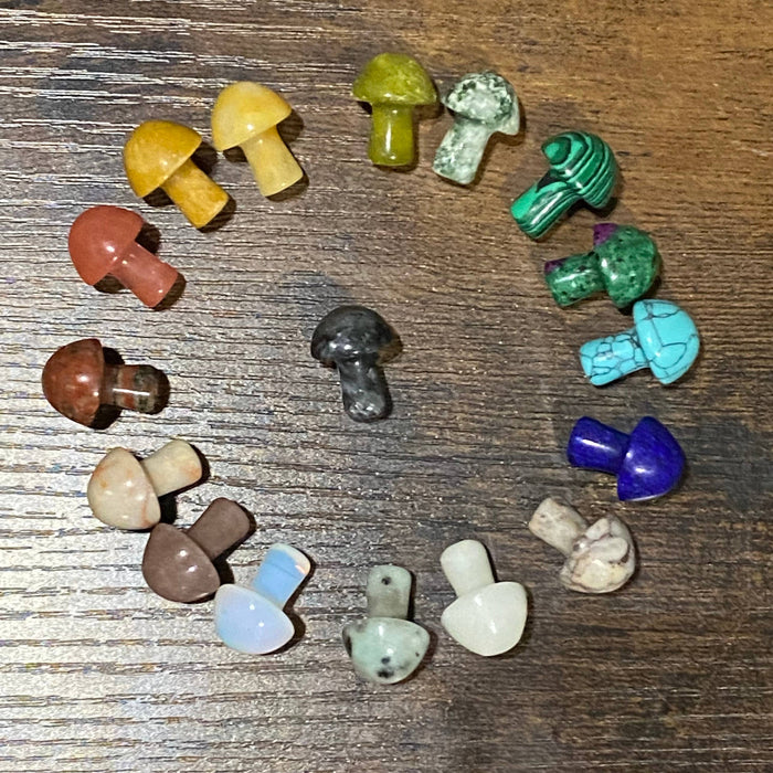 Wax Apothecary - 🍄 Crystal Mini Mushroom Stone Assortment 🍄