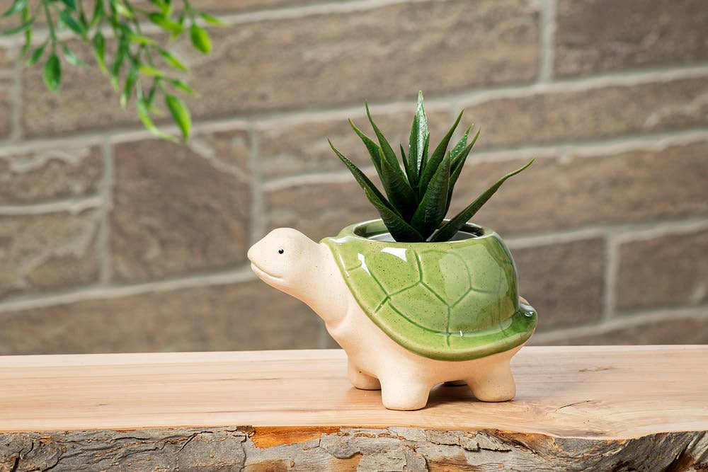 Abbott - Sm Turtle Planter-Grn-3.5"H