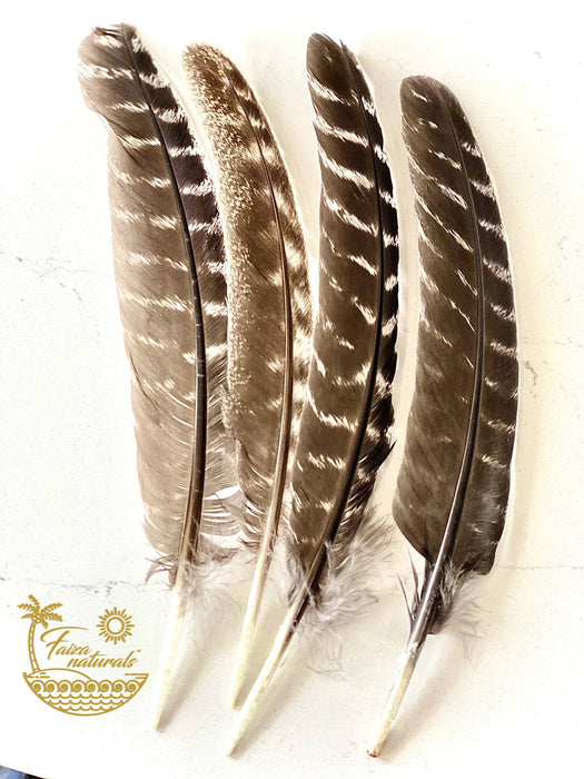 Faiza Naturals Feathers for Smudging