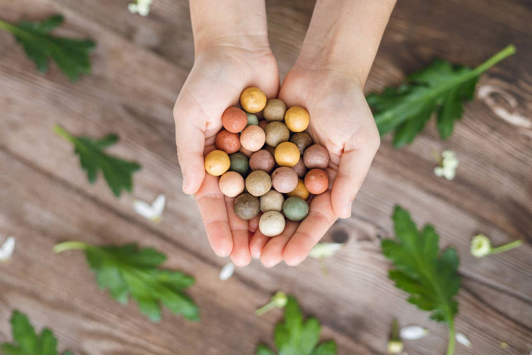 Buzzy Seeds Grow Gifts - “A Gift for You” Wildflower Egg Carton | 6 Seed Balls