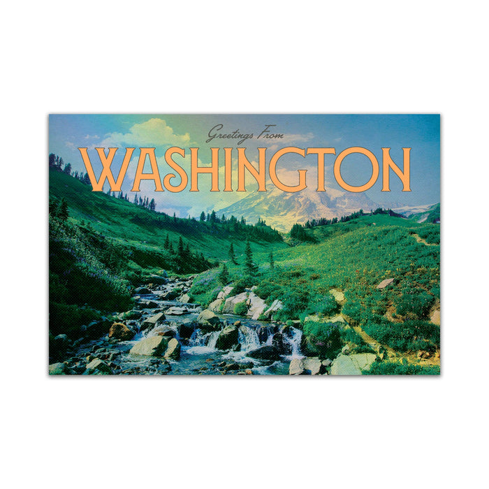 Tender Loving Empire - Greetings from Washington Photo Postcard