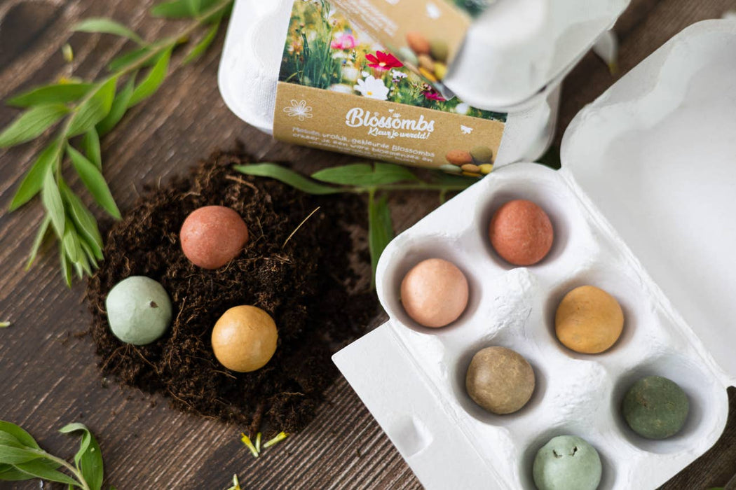 Buzzy Seeds Grow Gifts - “A Gift for You” Wildflower Egg Carton | 6 Seed Balls