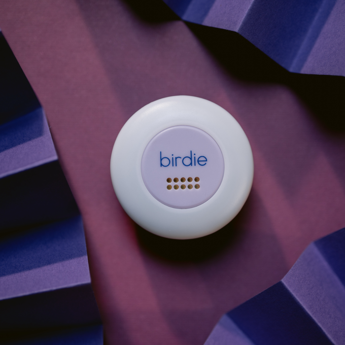 She's Birdie - Birdie Disc