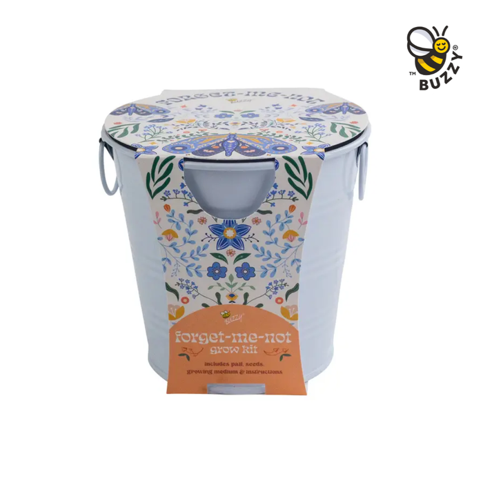 Buzzy Seeds Grow Gifts - Painted Flower Grow Pail – Forget-Me-Not Indoor Garden Gift