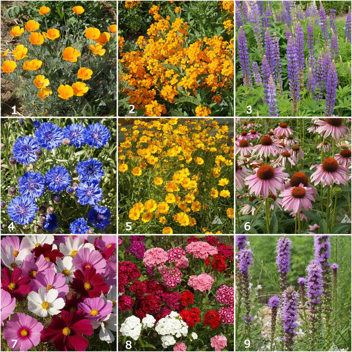 Potting Shed Creations, Ltd. - Scatter Garden | Butterfly Habitat | Best Seller