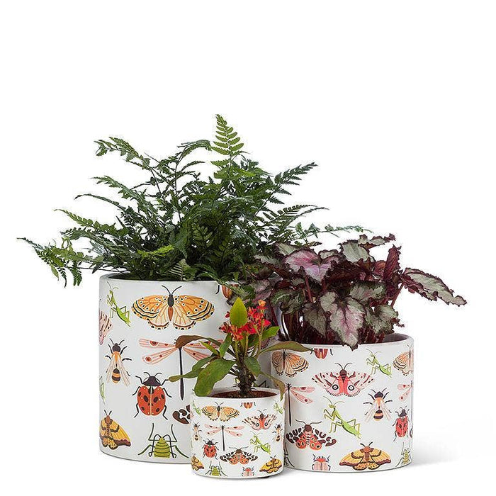 Abbott - Sm Allover Bugs Planter-4.5"D