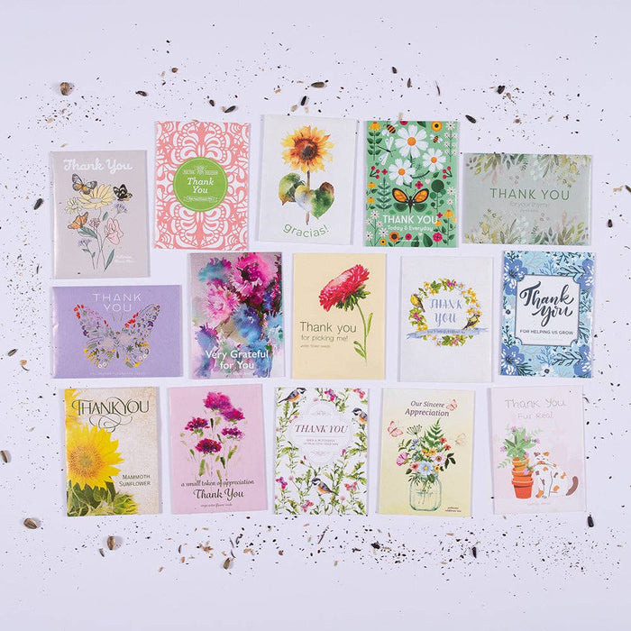 Bentley Seed Co. - Thank You Today Everyday - Pollinator Flower Mix Seed Packets