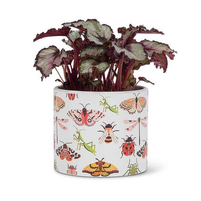Abbott - Sm Allover Bugs Planter-4.5"D