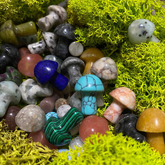 Wax Apothecary - 🍄 Crystal Mini Mushroom Stone Assortment 🍄