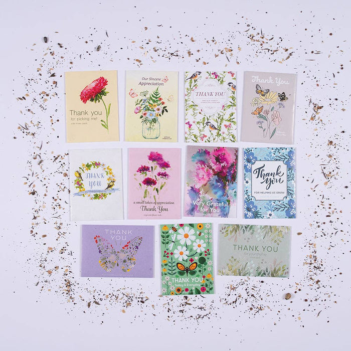 Bentley Seed Co. - Thank You Today Everyday - Pollinator Flower Mix Seed Packets
