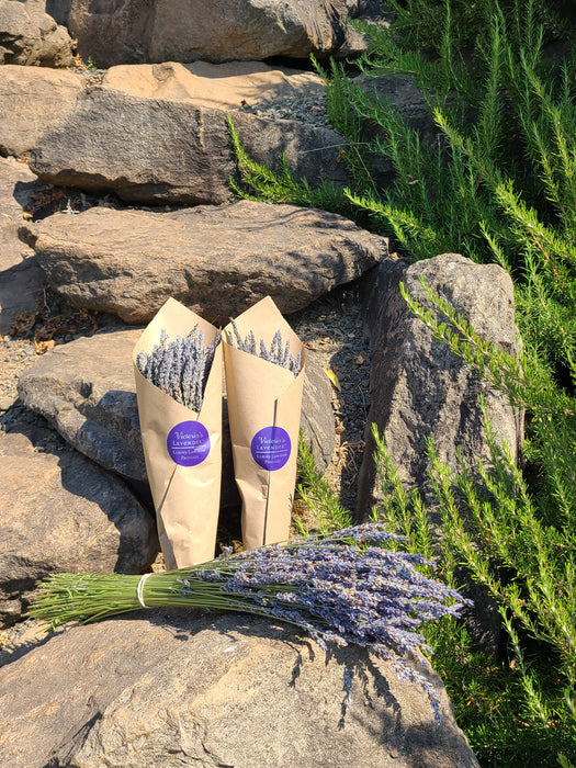 Victoria's Lavender, LLC - Dried Lavender Bouquets - French