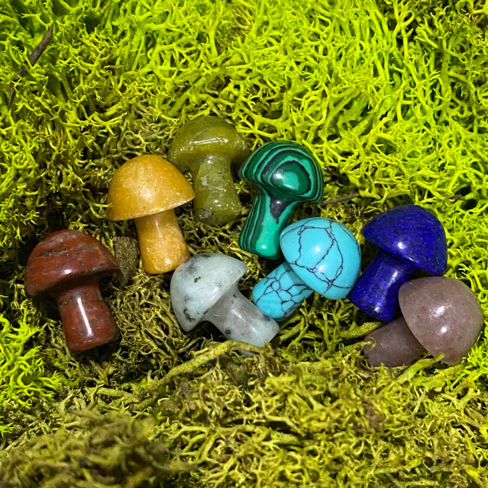 Wax Apothecary - 🍄 Crystal Mini Mushroom Stone Assortment 🍄