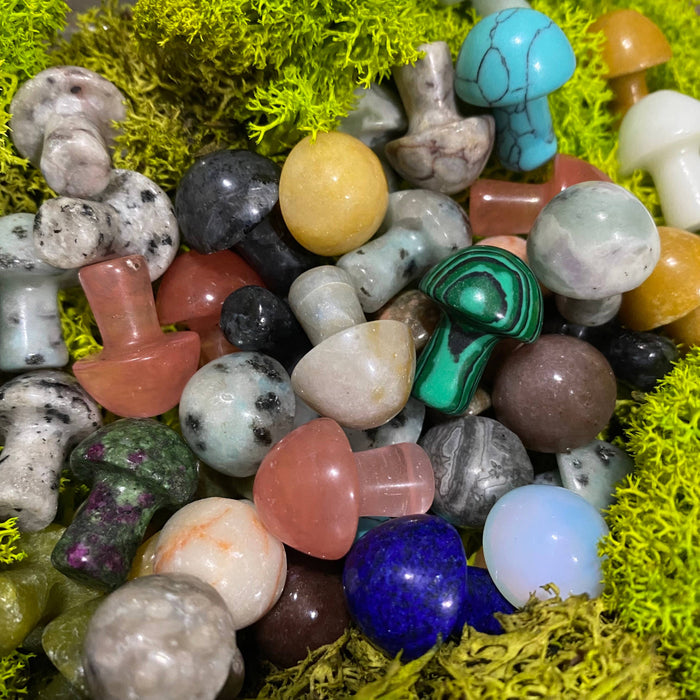 Wax Apothecary - 🍄 Crystal Mini Mushroom Stone Assortment 🍄