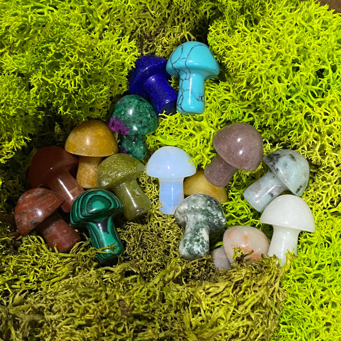 Wax Apothecary - 🍄 Crystal Mini Mushroom Stone Assortment 🍄