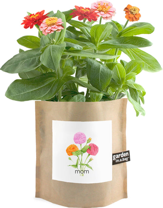 Potting Shed Creations Garden in a Bag | Mom