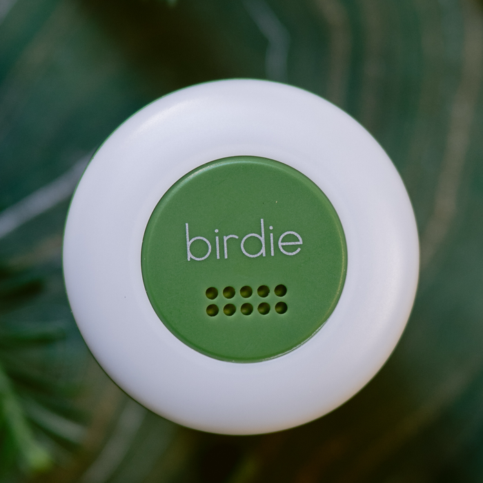 She's Birdie - Birdie Disc