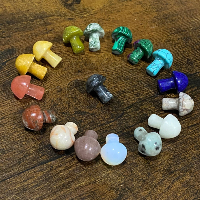 Wax Apothecary - 🍄 Crystal Mini Mushroom Stone Assortment 🍄