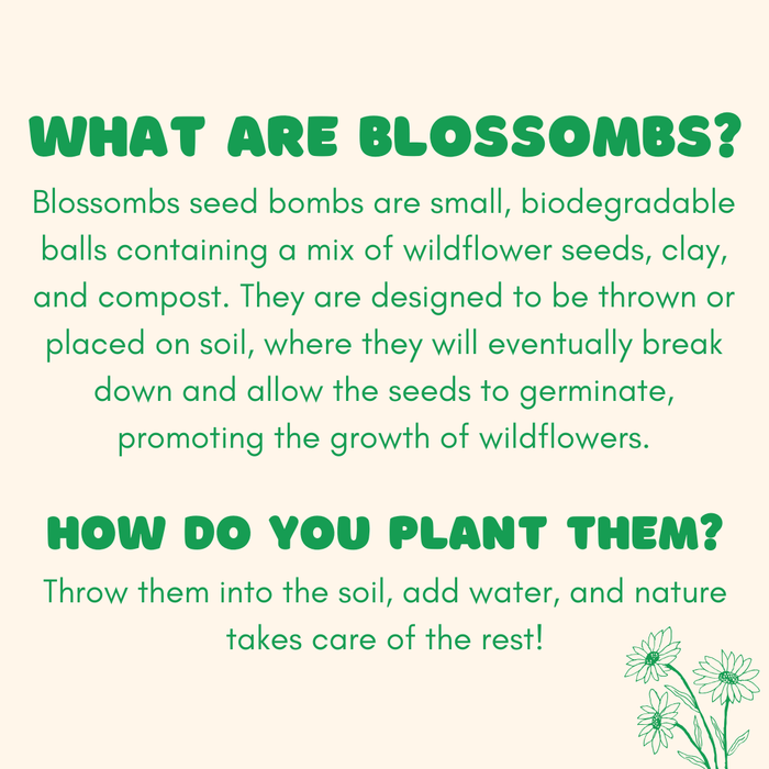 Buzzy, Inc. - Blossombs Egg Box- Hello Spring- 7 Seed Bomb Balls