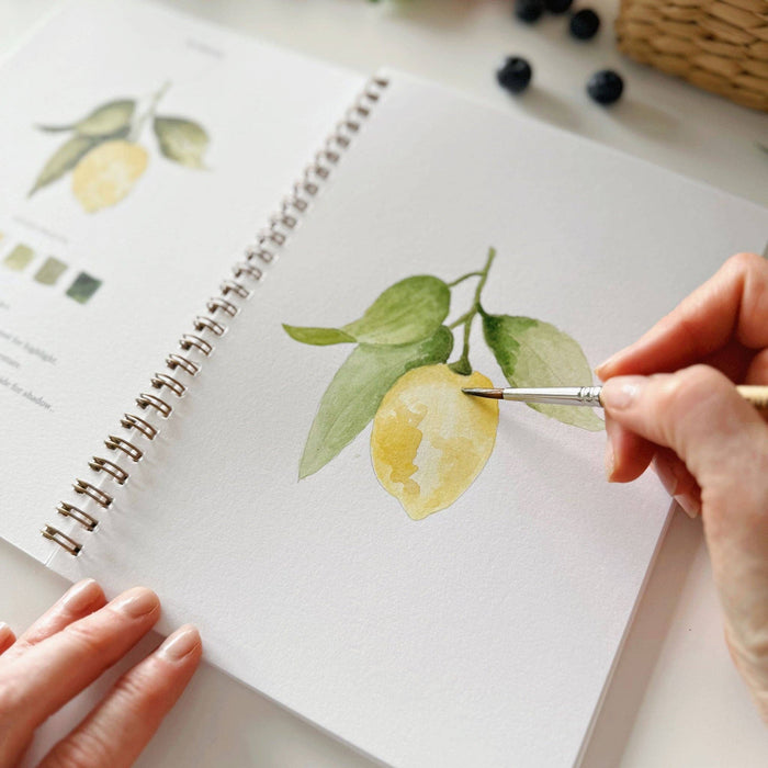 emily lex studio - Fruit watercolor workbook