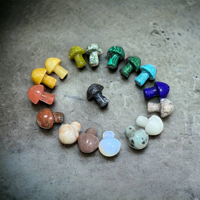 Wax Apothecary - 🍄 Crystal Mini Mushroom Stone Assortment 🍄