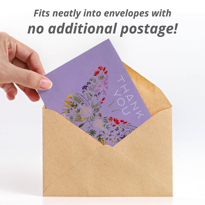 Bentley Seed Co. - Thank You Butterfly Pollinator - Pollinator Flower Mix Seed Packets