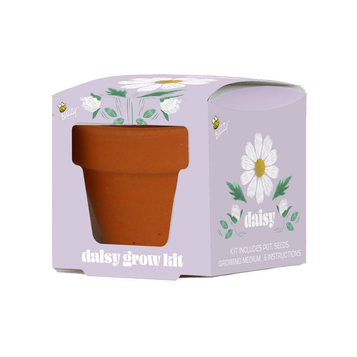 Buzzy Seeds Grow Gifts - Mini Grow Pot Daisy Kit | Indoor Grow Kit | Gardening Gift
