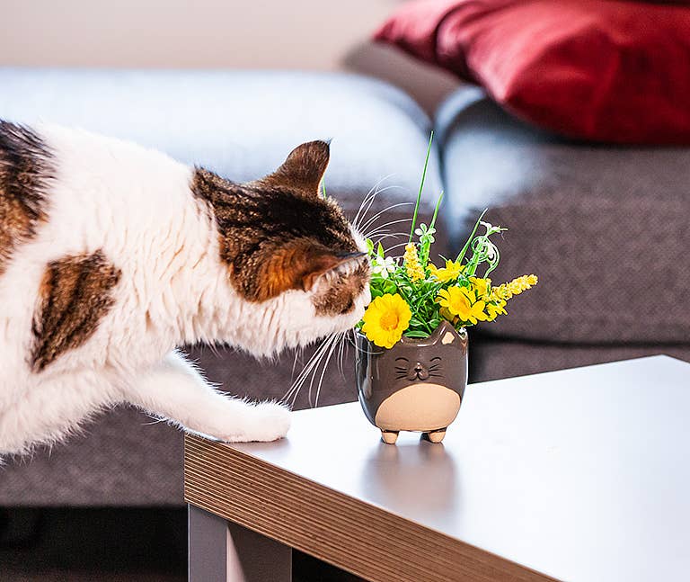 Abbott - Sm Cat on Legs Planter-3" H