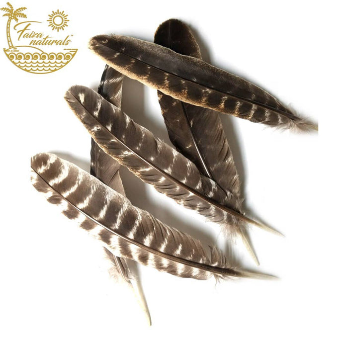 Faiza Naturals Feathers for Smudging