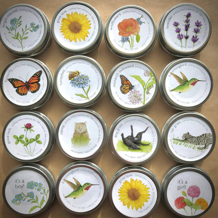 Potting Shed Creations, Ltd. - Garden Sprinkles | Good Luck Clover | St Patrick's Day