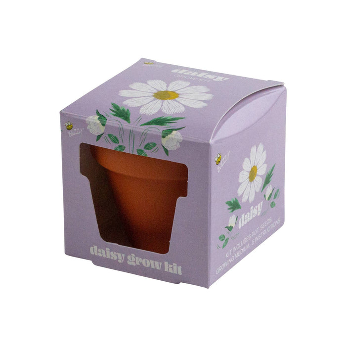 Buzzy Seeds Grow Gifts - Mini Grow Pot Daisy Kit | Indoor Grow Kit | Gardening Gift