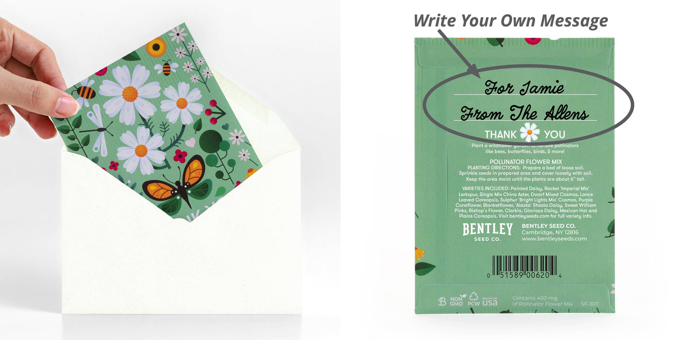 Bentley Seed Co. - Thank You Today Everyday - Pollinator Flower Mix Seed Packets