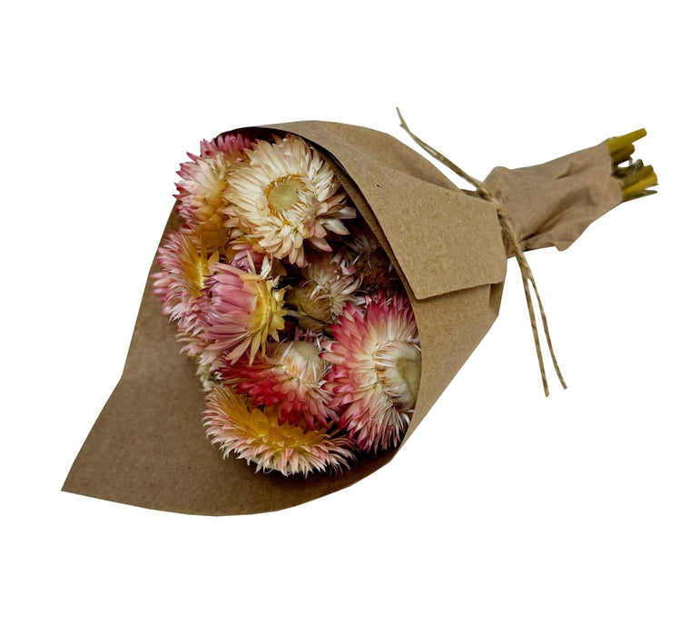Andaluca - MINI Strawflower Bundle: Pink #172