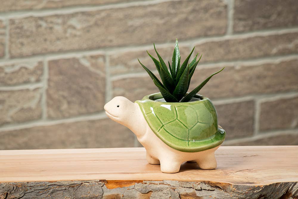 Abbott - Sm Turtle Planter-Grn-3.5"H