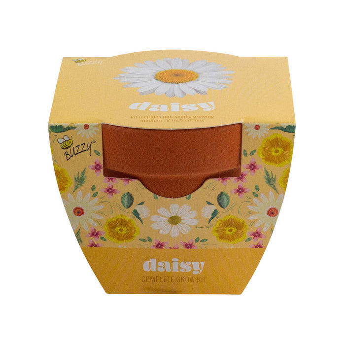 Buzzy, Inc. - Buzzy Seeds Classic (7cm) Terra Cotta Grow Kit - Daisy