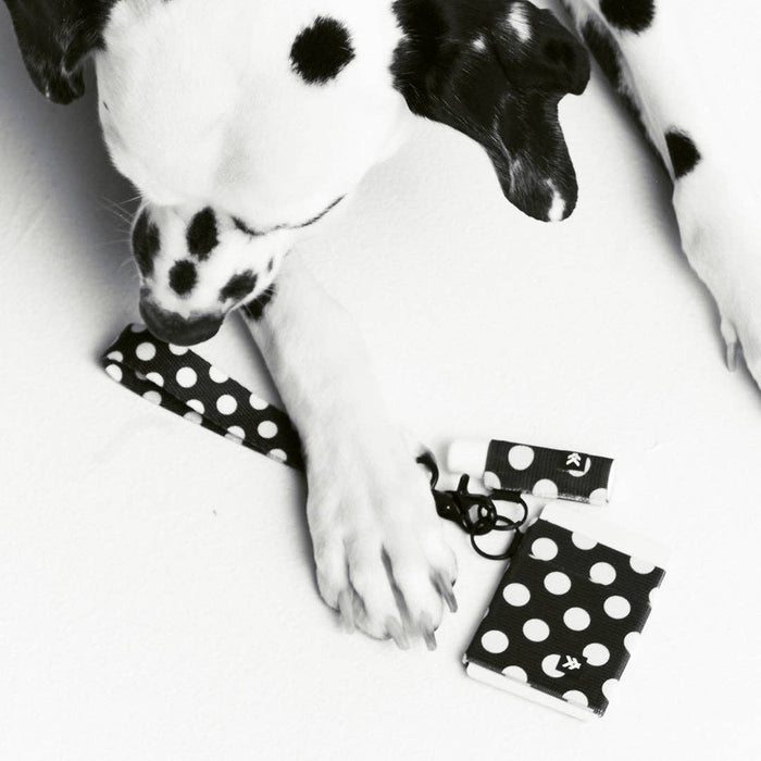Thread - Polka Dot - Chapstick Holder Keychain