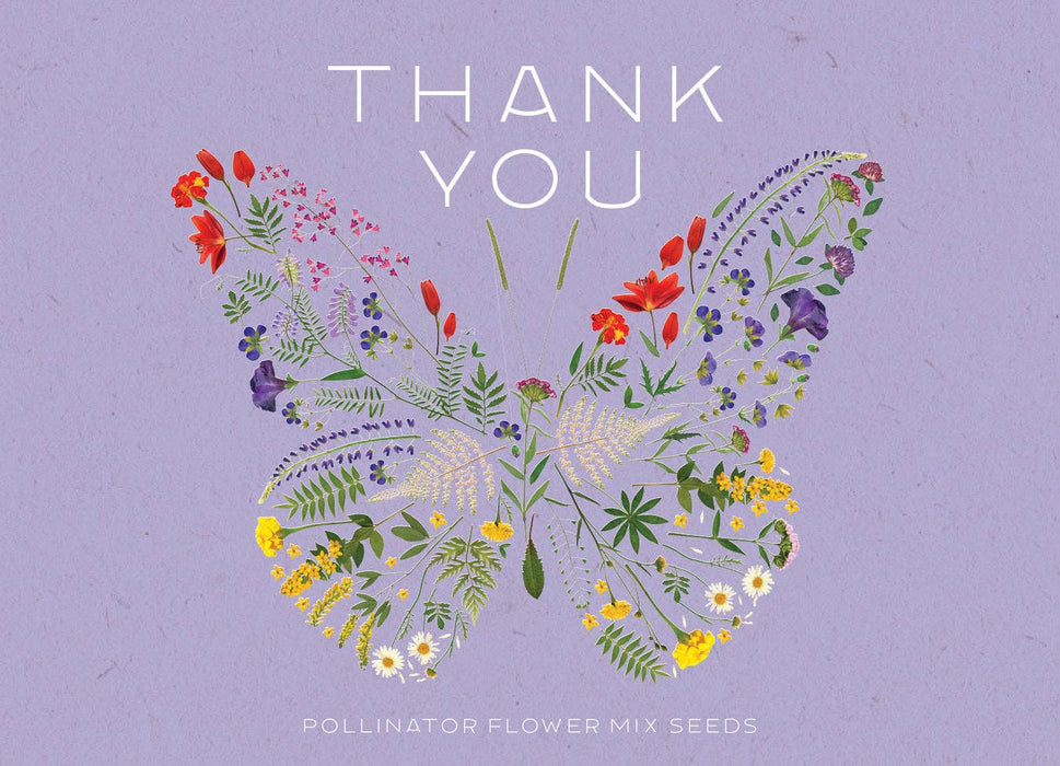 Bentley Seed Co. - Thank You Butterfly Pollinator - Pollinator Flower Mix Seed Packets