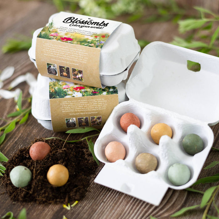 Buzzy, Inc. - Blossombs Egg Box- Hello Spring- 7 Seed Bomb Balls