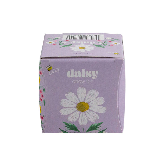 Buzzy Seeds Grow Gifts - Mini Grow Pot Daisy Kit | Indoor Grow Kit | Gardening Gift